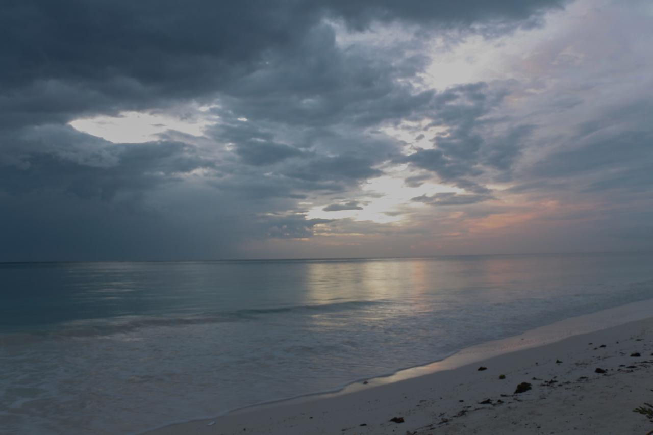 Zanzibar African Sun Sea Beach Resort & Spa מראה חיצוני תמונה