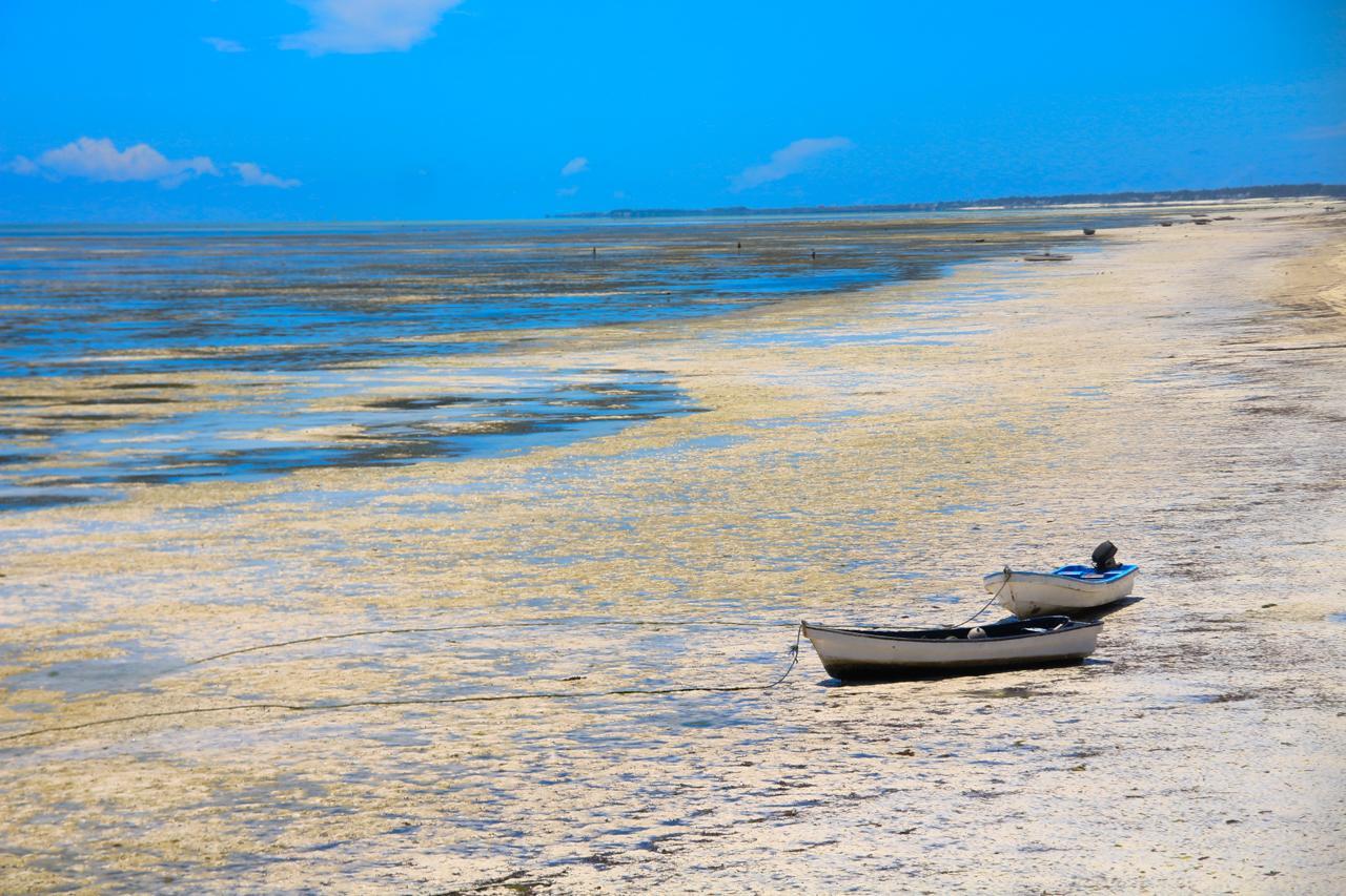 Zanzibar African Sun Sea Beach Resort & Spa מראה חיצוני תמונה